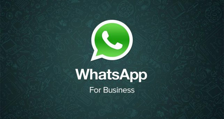 Whatsapp business: ecco cos'è e come funziona