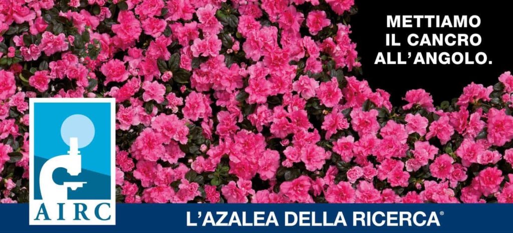 A San Nicolò si terrà la manifestazione Azalea della Ricerca di AIRC