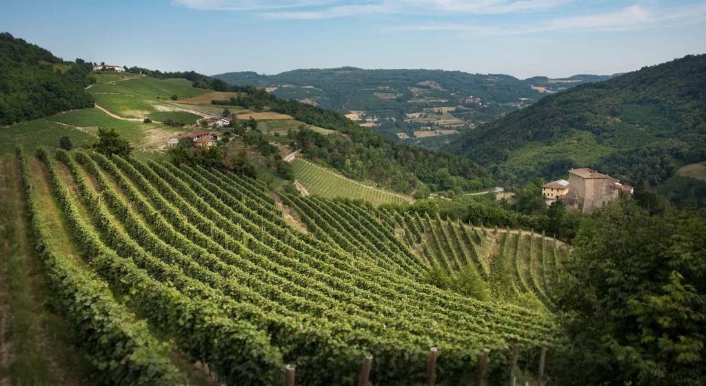 Linea Verde anticipazioni di domenica 29 settembre 2019. Tappa in Piemonte